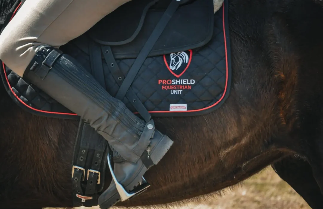 mounted security patrols Pretoria